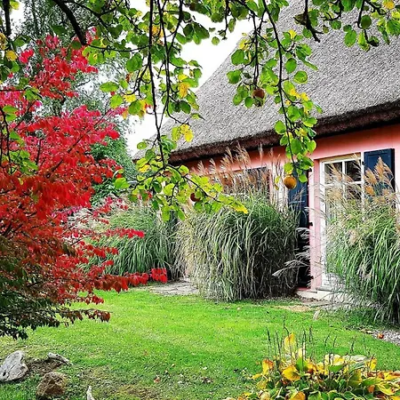 Hof Garz Apfelgarten * Poseritz